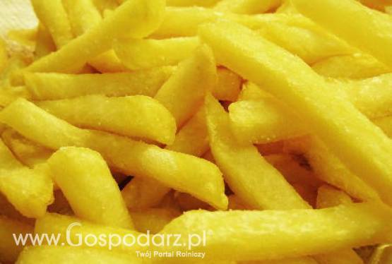 Prognoza unijnych produkcji i przetwórstwa unijnych ziemniaków