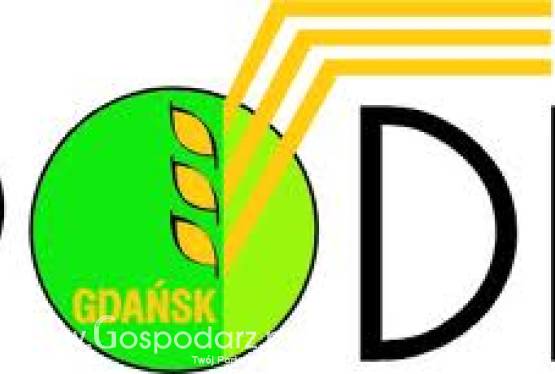 Dzień Pola w Lubaniu