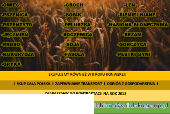 SKUP ZBÓŻ EKOLOGICZNYCH