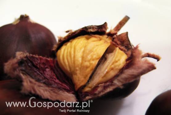 Będą rekordowe zyski w sektorze bakalii?