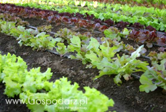 Obowiązkowe ubezpieczenia rolnicze