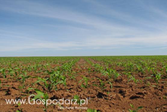 Mikroprzedsiębiorczość – nabór wniosków