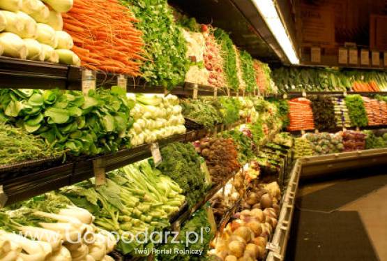 Coraz mniejsza opłacalność w produkcji żywności