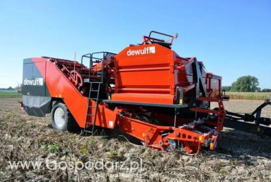 Kombajn do ziemniaków Torro 2 x 90 DEWULF