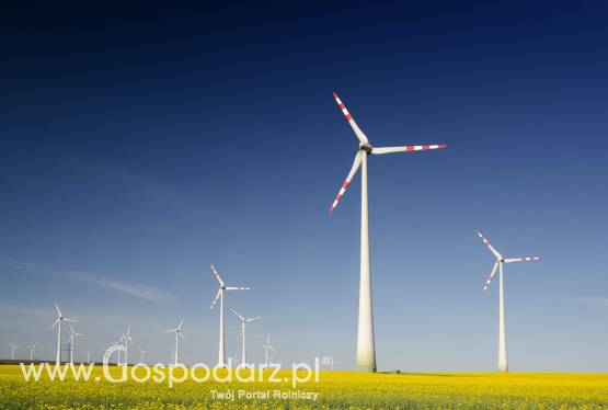 Przyjmę w dzierżawę grunty rolne pod budowę Turbin WIatrowych