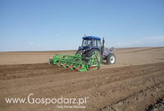 Maszyna do formowania redlin 8GKS730 BASELIER