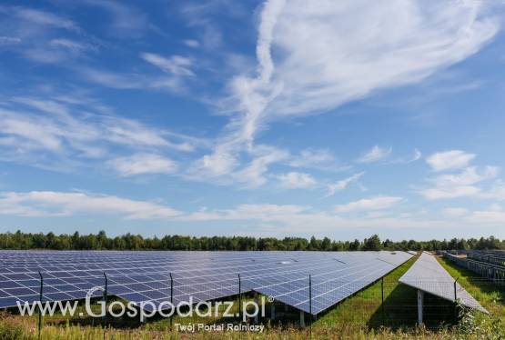 Wydzierżawię grunt pod fotowoltaikę