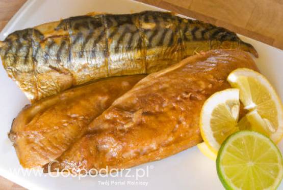 Informacja zbiorcza o kontroli planowej w zakresie jakości handlowej przetworów rybnych