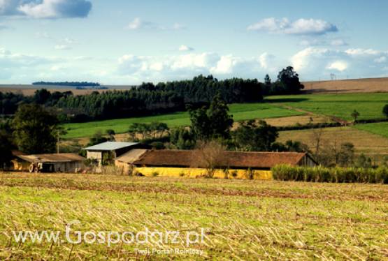 150 lat Kółka Rolniczego w Sobótce