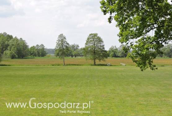 ATRAKCJA - PILNE - sprzedam gospodarstwo rolne