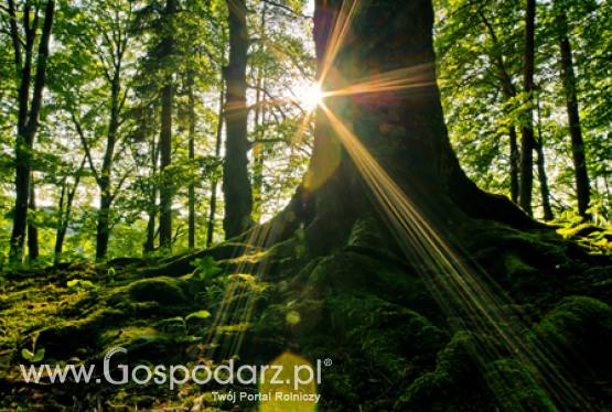 11 czerwca zakończyło się przyjmowanie wniosków o przyznanie dopłat bezpośrednich, ONW i rolnośrodowiskowych za 2012 r