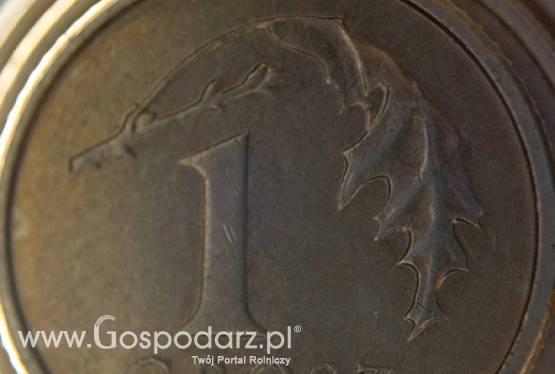 Rolnicy muszą szybko zgłaszać do ARiMR zniszczenia powstałe na skutek np. gradobicia. Będą pieniądze dla poszkodowanych.