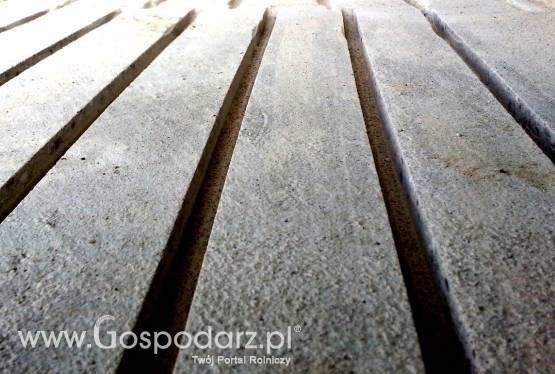 Nacinanie Rowkowanie Frezowanie posadzek rusztów