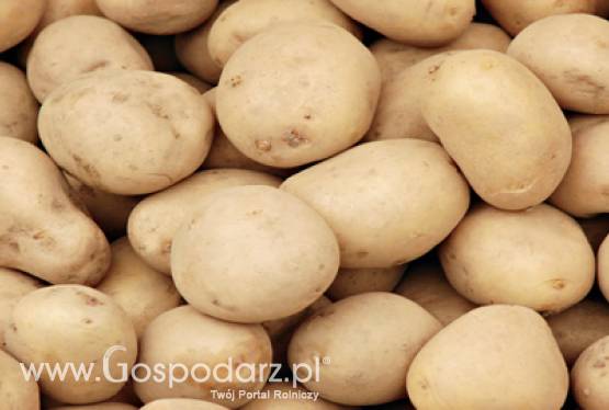 Spotkanie Grupy Roboczej szefów służb fitosanitarnych Państw Członkowskich UE