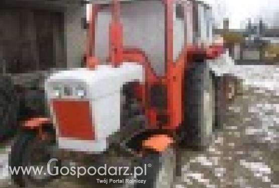 Case Dawid Braun 885