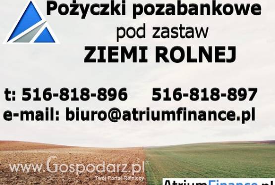 Pożyczki pozabankowe pod zastaw Ziemi Rolnej