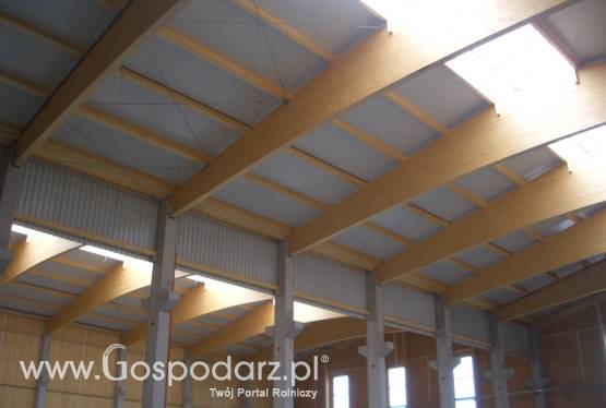 Systemy konstrukcyjne - żelbet i drewno klejone