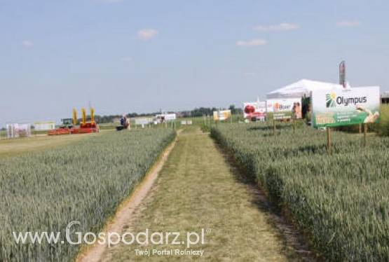 Tydzień na rynku giełdowym zbóż – 28.05.2012