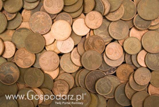 Wdrażanie lokalnych strategii rozwoju LGD przyjmuje wnioski