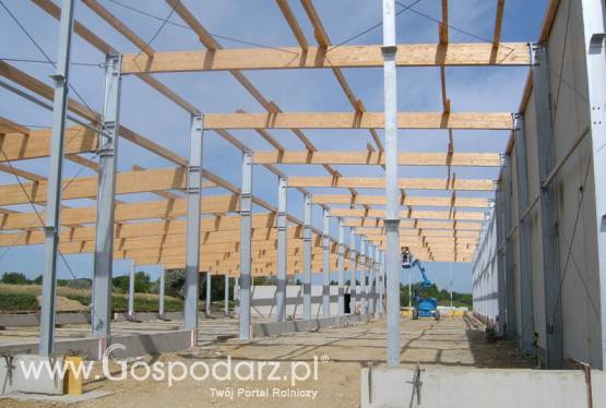 Systemy konstrukcyjne - stal i drewno klejone