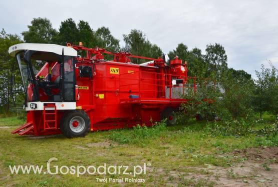 SAMOBIEŻNY CAŁORZĘDOWY KOMBAJN FELIX