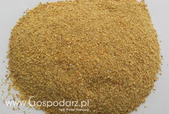 Koncentrat Sojowy warchlak - tucznik, pasza dla trzody, soja