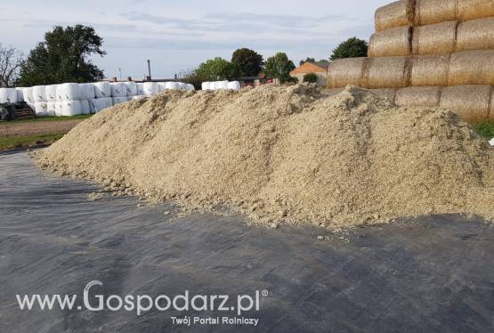 Wysłodki buraczane mokre