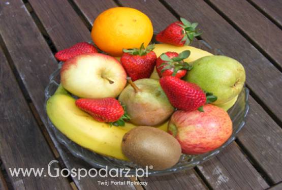 Wyniki przetargu - 08.11.2011 r.