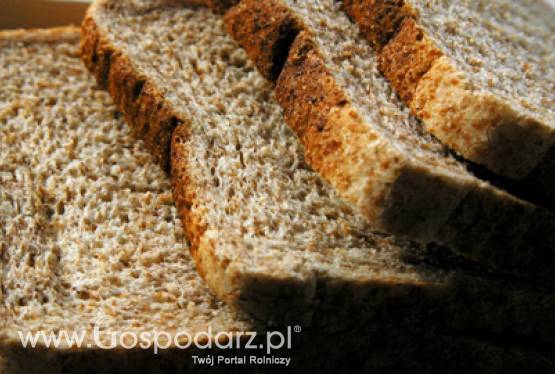 Dożynki województwa śląskiego