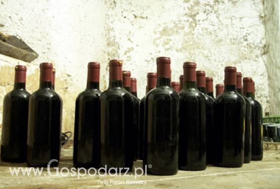 Winiarskie dożynki w Ochli