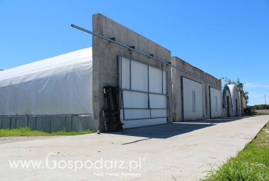 Sprzedam pieczarkarnie