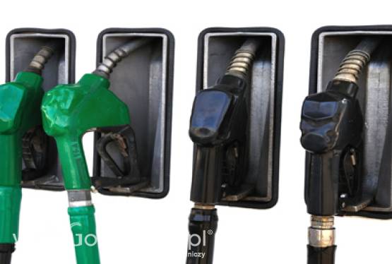 Polski Rynek Biopaliw – Debata 2012” – ostatnie dni na zgłoszenie udziału