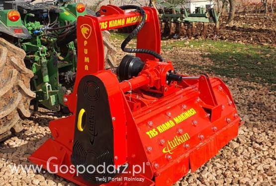 KRUSZARKA KAMIENI TUTKUN PUMA