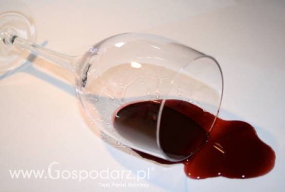 Argentyna – Wzrost eksportu wina