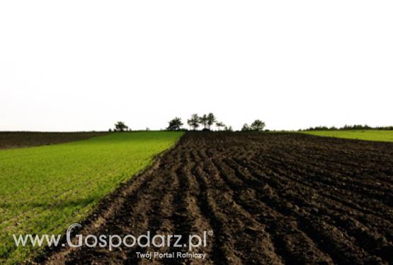 Polsko-włoskie rozmowy o przyszłości WPR