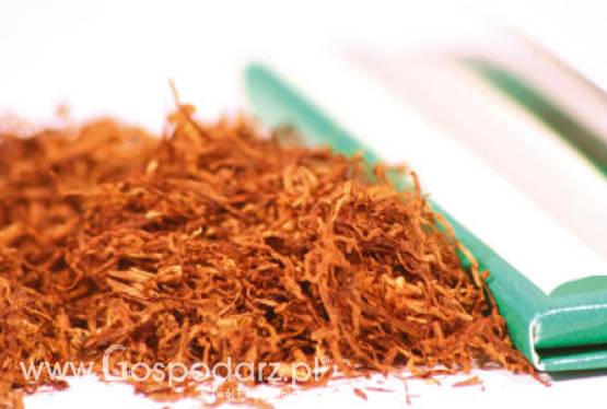 W 2010 roku Polacy wypalili papierosów o łącznej wartość 22 miliardów złotych