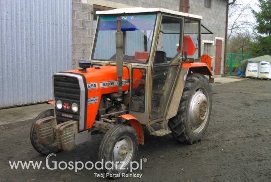 Massey Ferguson MF 255, nie 3512 1 właściciel oryginał