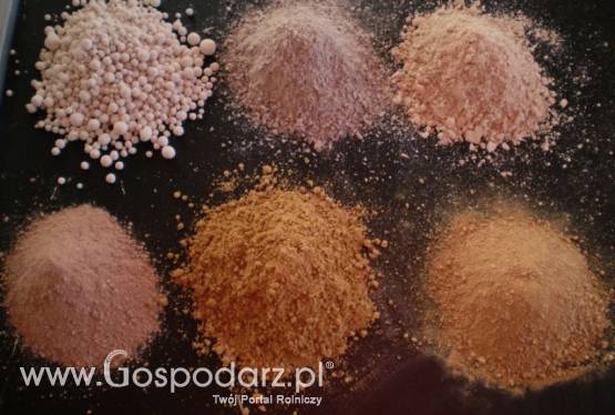 wapno nawozowe, węglanowe, magnezowe, tlenkowe, kreda