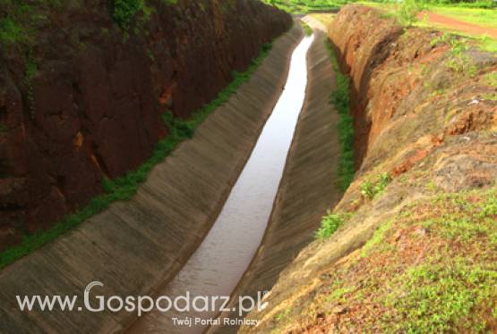 Problem melioracji w powiecie zielonogórskim