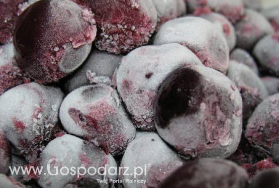 Komunikat na temat jakości mrożonek