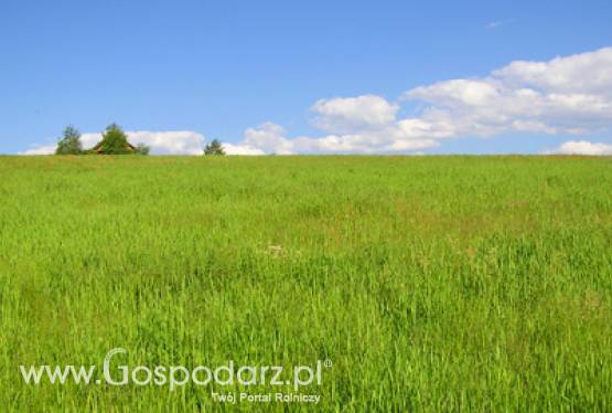 Polak zwycięzcą konkursu na Rolnika Roku Regionu Morza Bałtyckiego