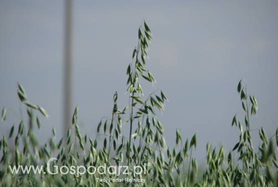 Spotkanie z delegacją Państwowej Administracji ds. Zbóż Chińskiej Republiki Ludowej