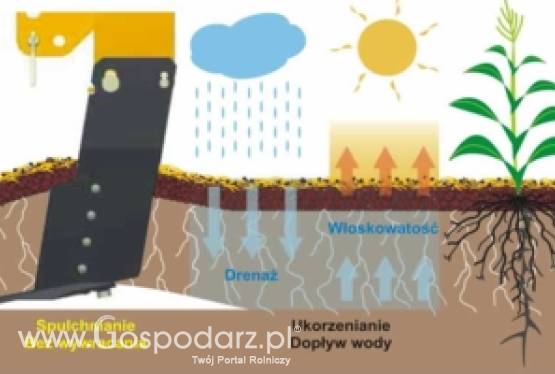 Agrisem Disc-O-Sem - Spulchniacze, siewniki