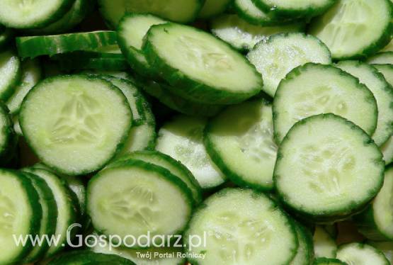 Rosja – Zakaz importu świeżych warzyw z UE