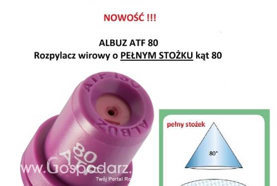 ALBUZ ATF 80 rozpylacz wirowy pełny stożek + filtr + uszczelka sadowni