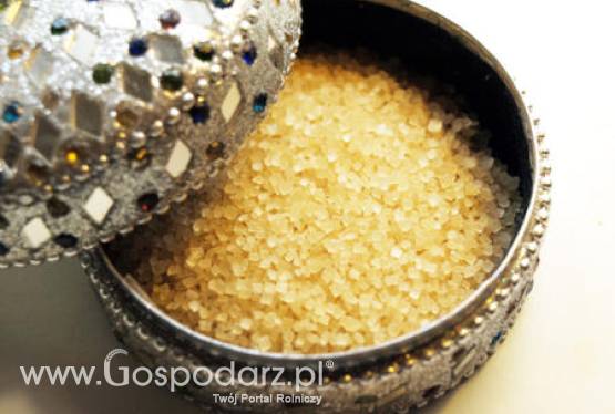 Zmiany na rynku cukru