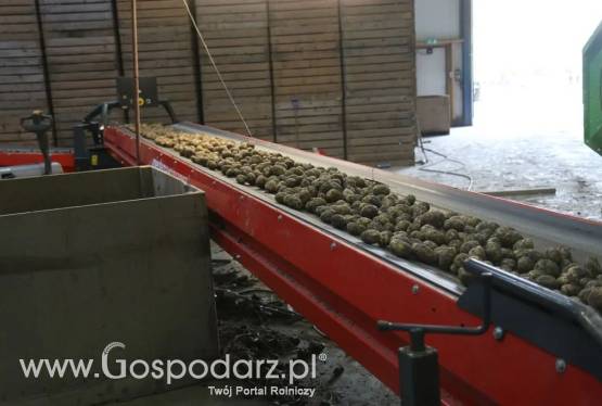 Pojedynczy przenośnik MC 780S Farmer DEWULF