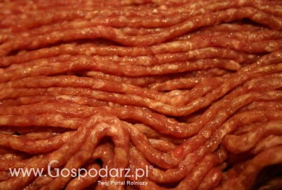 USA – Mielona wołowina pod lupą