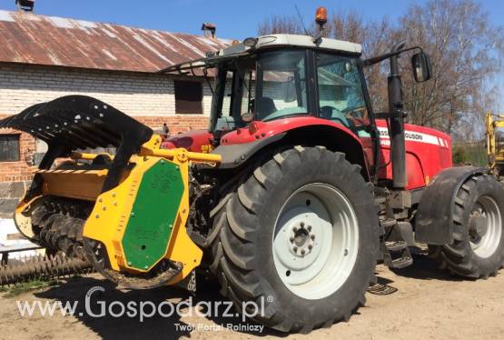 Usługa mulczerem leśnym