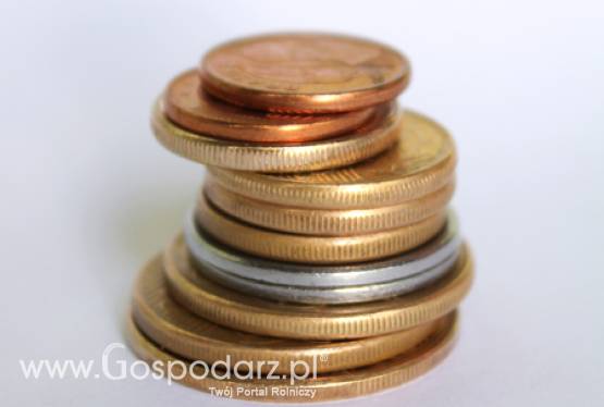 Lokalne Grupy Działania przyjmują wnioski o wsparcie inwestycji z PROW 2007-2013. W Polsce działa 336 takich grup.